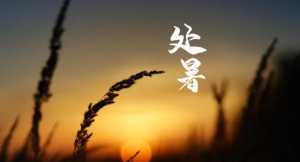 2023年处暑的时间是几月几日