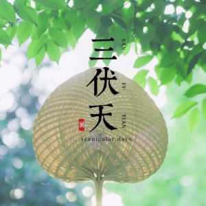 三伏天晒背是一边运动一边晒还是坐着晒