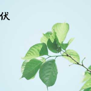 2023年三伏天有润伏吗