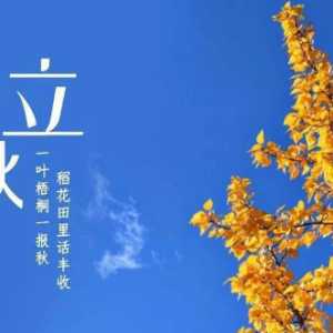 2023立秋是在中伏还是未伏