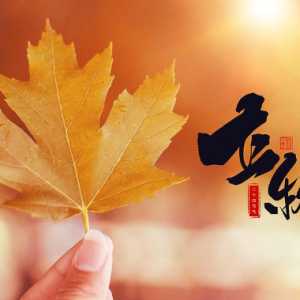 2023立秋还在中伏天会热吗