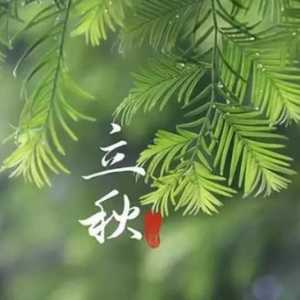 2023年立秋当天可以办酒席吗