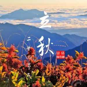 2023年立秋是中伏第几天