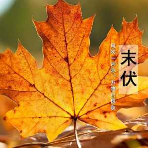 2023最后一个伏天是几号开始几号结束