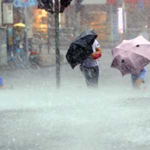 2023年河南洛阳暴雨到底有多大