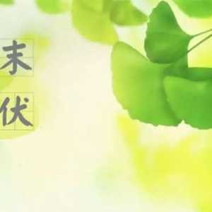 2023末伏后多久变凉快