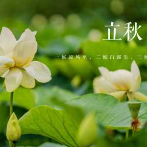 立秋后天黑的早了吗