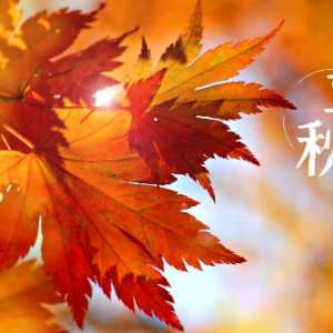 立秋后几点晒太阳好一点