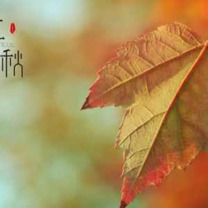 2023立秋后几天出伏