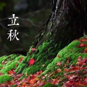 立秋后蚊子会变多还是变少