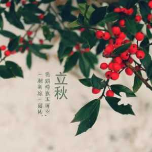立秋晴天好还是雨天好
