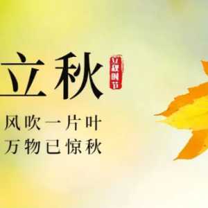 立秋之后有一伏还是两伏