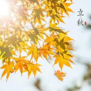 立秋后早起好还是晚起好