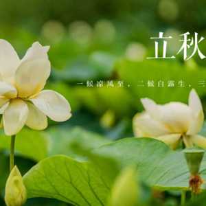 立秋以后还能晒背吗