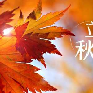 立秋后是不是就没有蚊子了