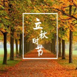 立秋后吃茄子好还是吃丝瓜好