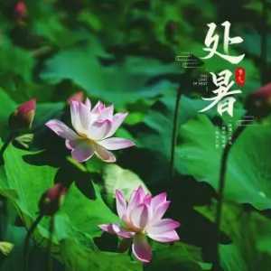 2023年处暑会下雨吗
