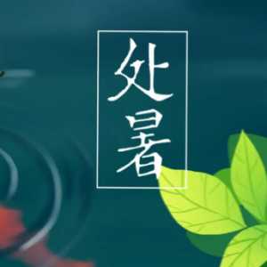 2023年处暑是哪一天开始的