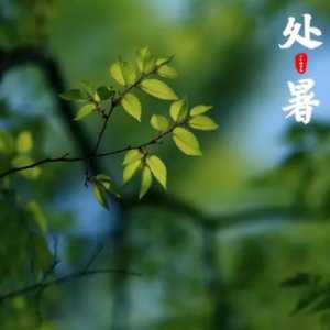 2023年处暑时间是下午还是上午