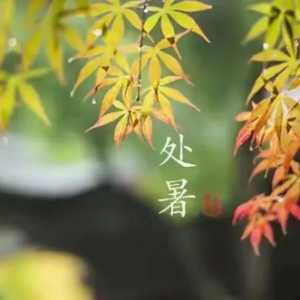 2023年处暑是黄道吉日还是忌日