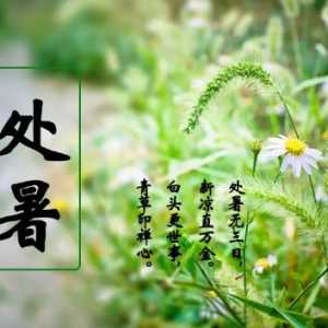 2023年处暑当天申时交运什么时候