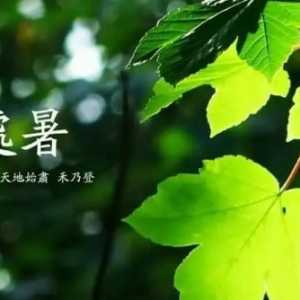 2023处暑温度大概多少度