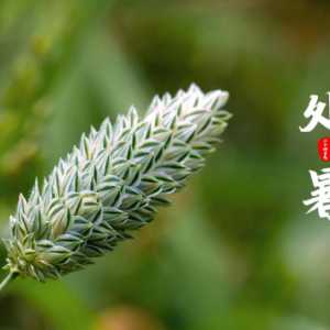 2023处暑后天气会凉快一些吗