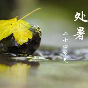 处暑是三伏天结束了吗