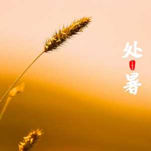 2023处暑以后温度还会有35度以上吗