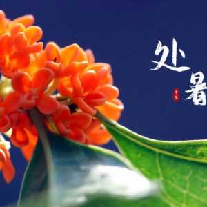 2023年处暑以后会有台风吗