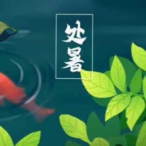 处暑交运是一天还是一个时辰