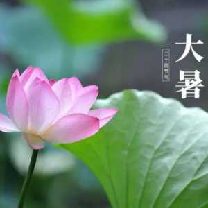 处暑和大暑哪个更热