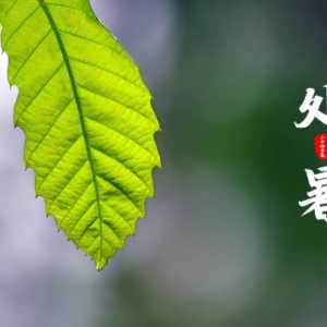 处暑前三天交运当天算吗