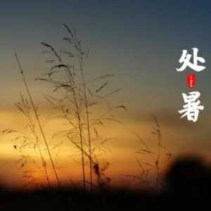 处暑是最后一个伏天吗