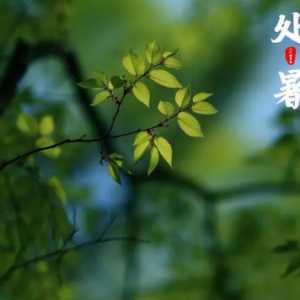 2023处暑天气有什么特点