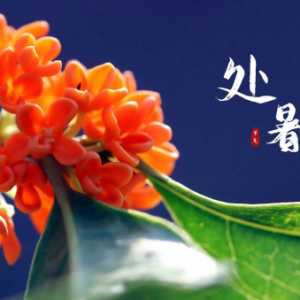 处暑节气是什么人的交运时间