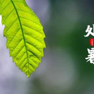2023处暑后多长时间就不热了