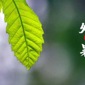 处暑就是末伏吗