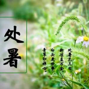 处暑以后白天变短了吗