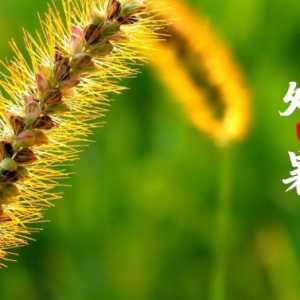 秋老虎在处暑前还是处暑后