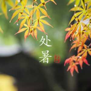 处暑节气是不是表示天气真正到秋天了