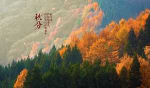 2023年秋分后种蒜晚不晚