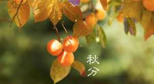 2023秋分之后会越来越冷吗