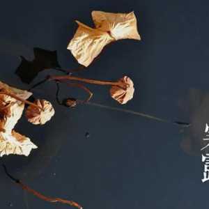2023寒露下雨好还是晴天好