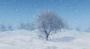 2024年湖南入冬几月开始下雪