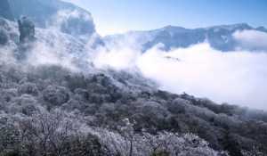 佛山2023大概几月份会变冷