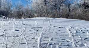 哈尔滨亚布力滑雪场现在开放了吗