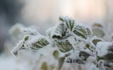 2023年吉林市雾凇冰雪节开幕时间是什么时候
