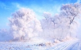 2024年吉林雾凇冰雪节每天都放烟花吗