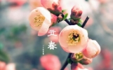 2024年哪天立春